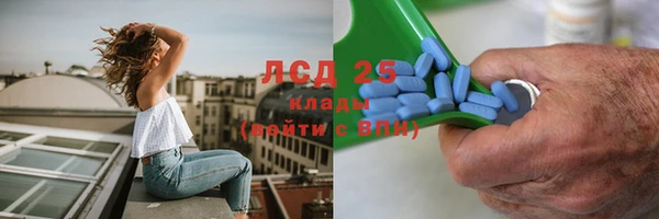 СК Вязники