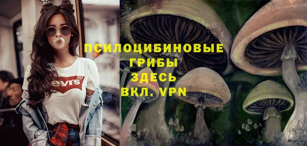 прущая мука Тында