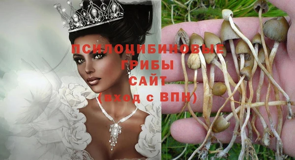 СК Вязники