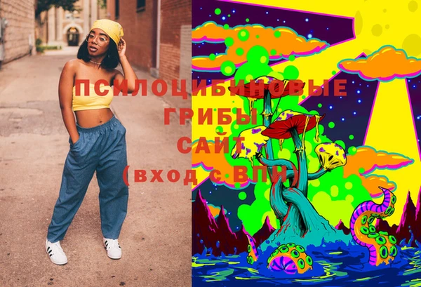 прущая мука Тында