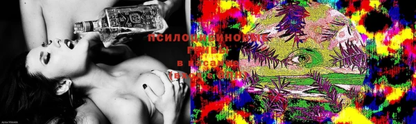 СК Вязники