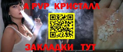 кокс Кингисепп